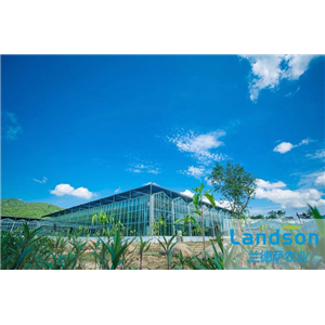 遠(yuǎn)洋三亞大茅現(xiàn)代農(nóng)業(yè)產(chǎn)業(yè)園項(xiàng)目